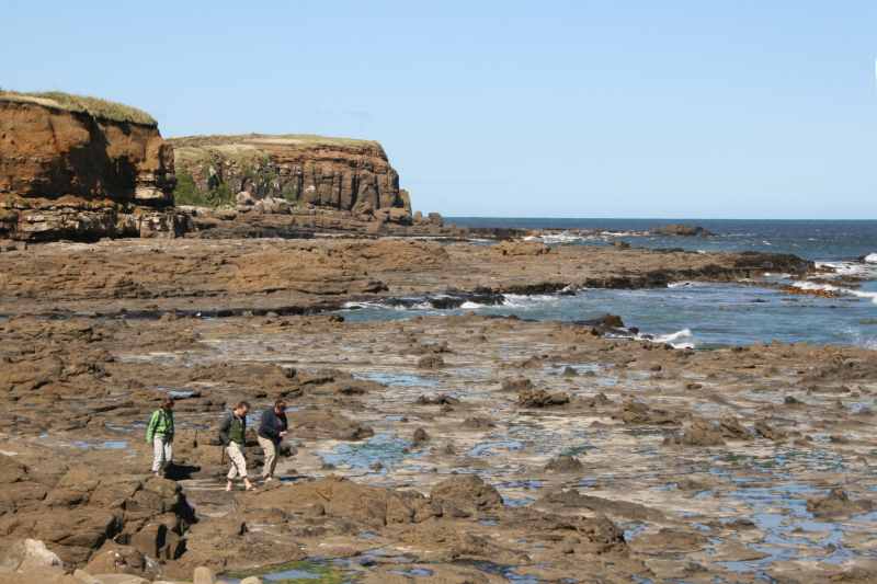 Nieuw-Zeeland 2011 - 1840